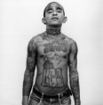 /album/galerie-photos/xjw35sss-jpg/